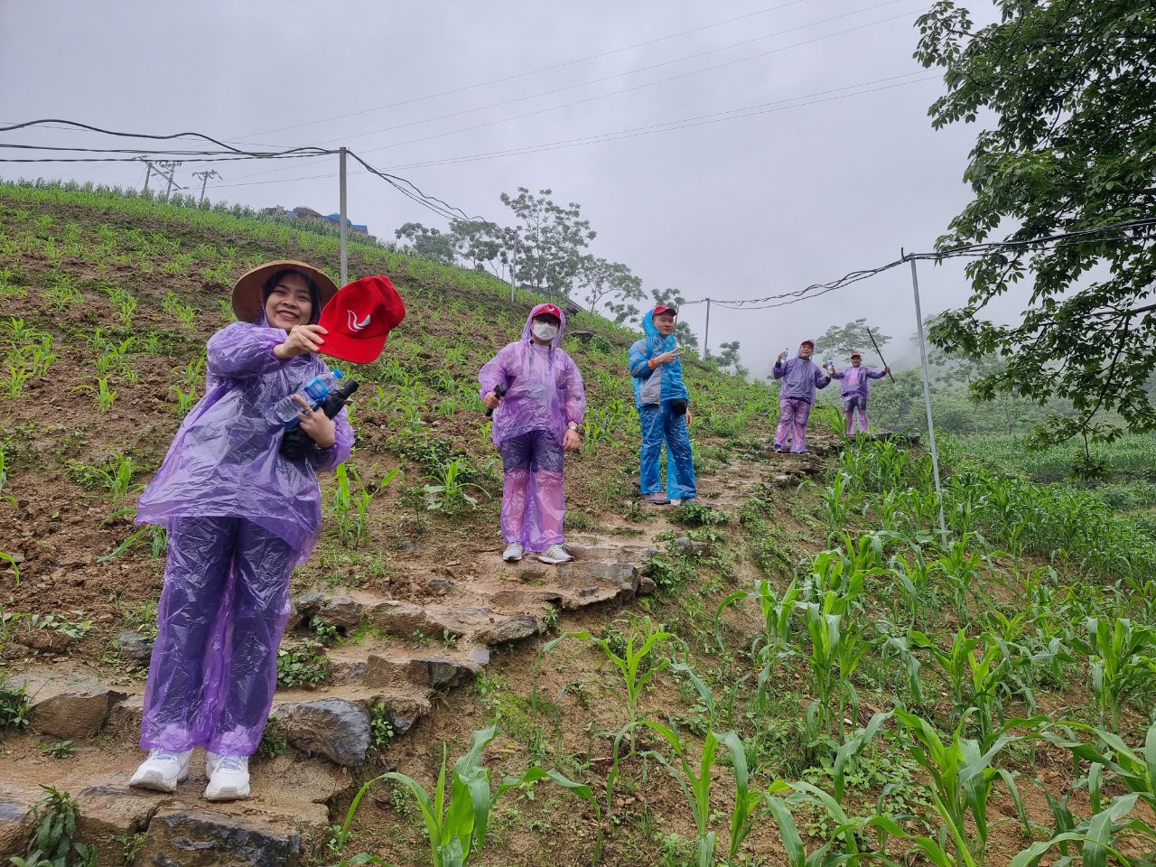 Đường xuống sông Nho Quế